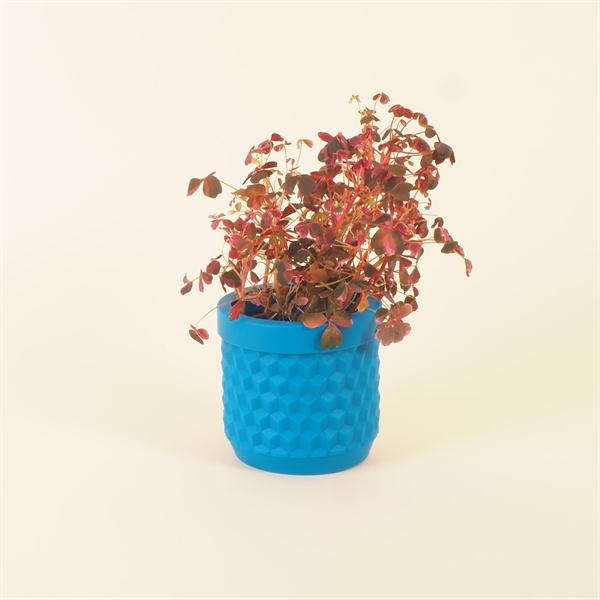 Potts flowerpot Royal blue